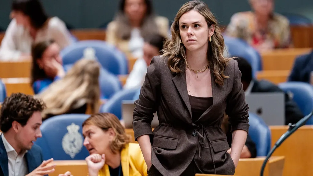 Opposition party Pro wants to remove abortion from the Criminal Code