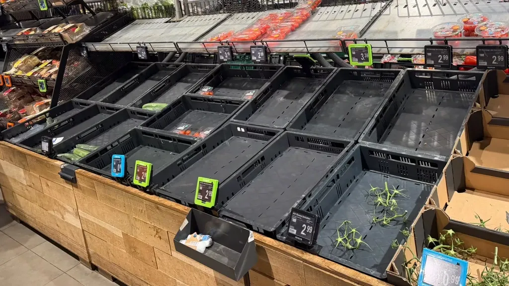 Albert Heijn distribution centers halted after digital security incident, risk of empty shelves