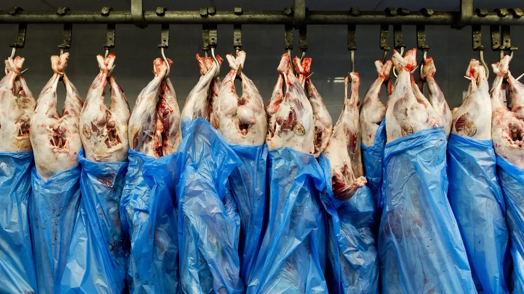 Party for the Animals renews push to ban unstunned slaughter