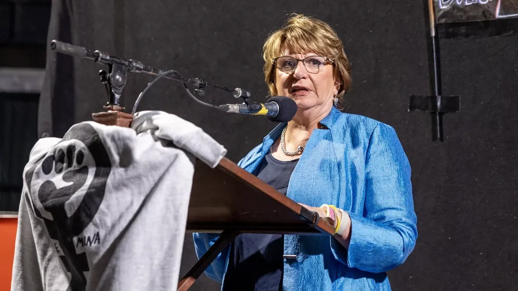 PvdA figure Mariëtte Hamer to lead Pro list in next year’s Senate election